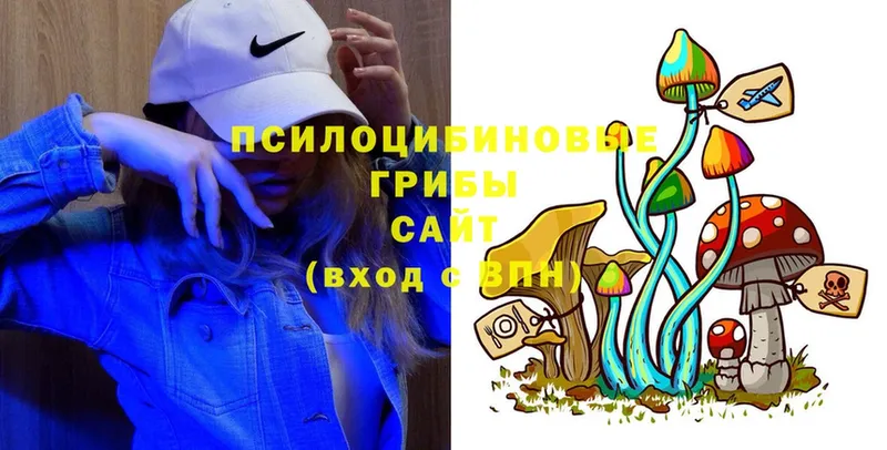 Галлюциногенные грибы Psilocybine cubensis  Бийск 